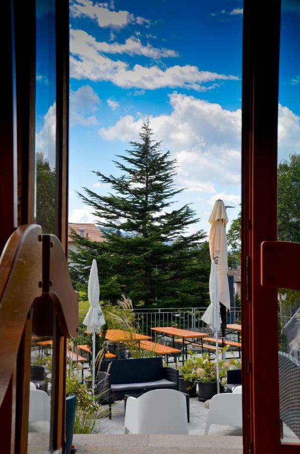 Hotel Villa Argentina 罗恩佐 外观 照片